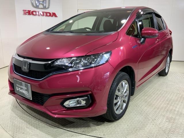 եåȥϥ֥å ̥ۥ󥷥󥰡ȣӣţΣӣɣΣǣͥʥӣҥţԣạ̃ţġﳲڸ֥졼Хå˥ 1230226A30251030W001 1