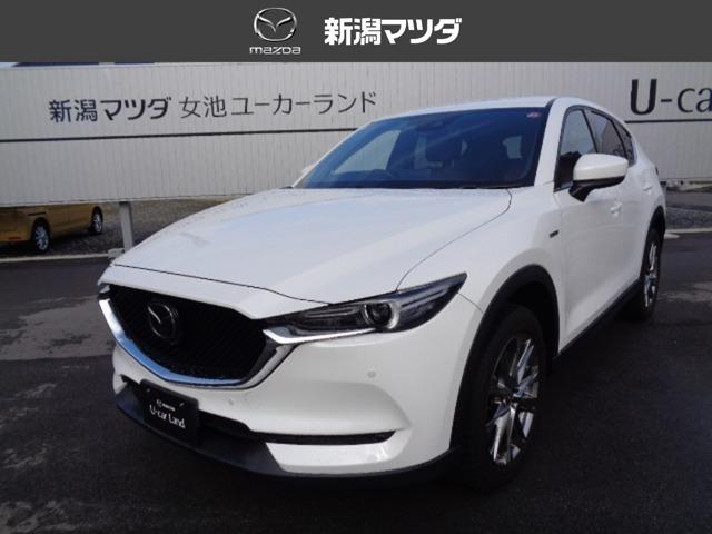 ＤＴ　ＸＤ　１００周年特別記念車