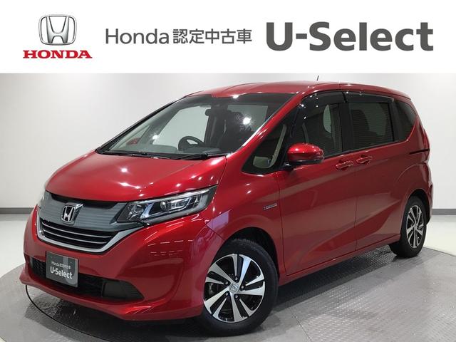 ե꡼ɥϥ֥å ϥ֥åɡţء̣ţġե륻 1300063A30251207W004 1