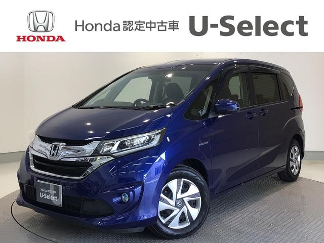 ۥ ե꡼ɡܥϥ֥å ϥ֥åɣǡۥ󥷥󥰡̣ţġե륻