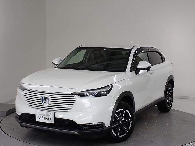 F[(z_) Fgduw@z_ZVOEirEtZOEobNJEdsbETChJ[eGA[obOEI[gN[YEkdcEPU`v@OQZT[@``b@CrCU[@X}|gL|@ov@AJ@drb Îԉ摜