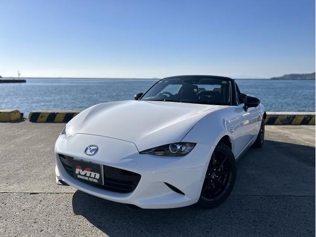 [hX^[(}c_) mq|`@p[eB[Xԗ@}c_Xs[h[o[ Îԉ摜