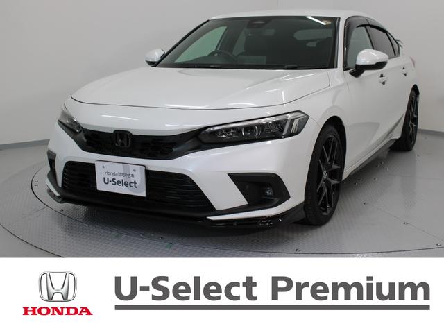 ӥå ţ 1300290A30251208W001 1