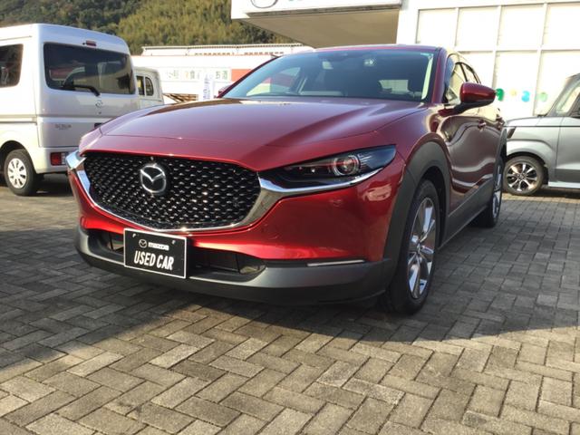 bw|RO(}c_) QOr@vANeBu Îԉ摜