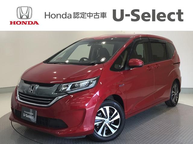 ۥ ե꡼ɡܥϥ֥å ϥ֥åɣǡۥ󥷥󥰡̣ţġե륻