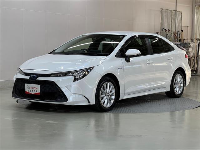 ȥ西  ϥ֥åɡӡﳲڸ֥졼ڥƧߴְ㤤ȯ