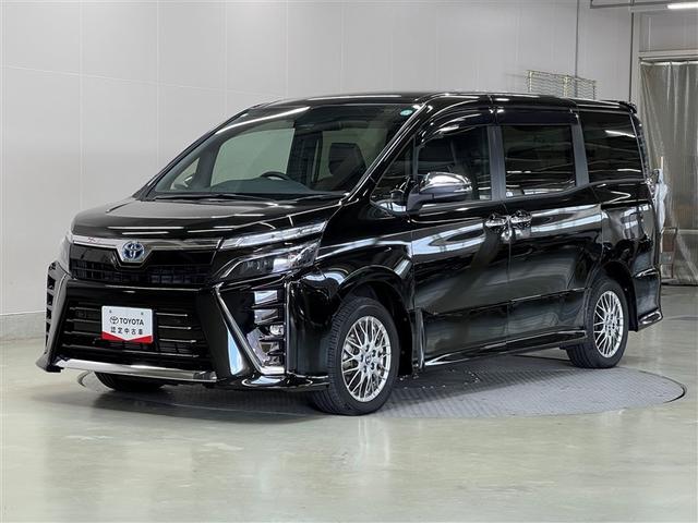  ϥ֥åɣڣӡɣɣɡԡݣãʥӡﳲڸ֥졼 1300517A30251204W003 1