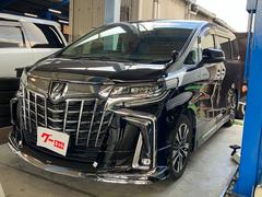 ȥ西եɡӡåѥåǥꥹե륨ꥢ˥