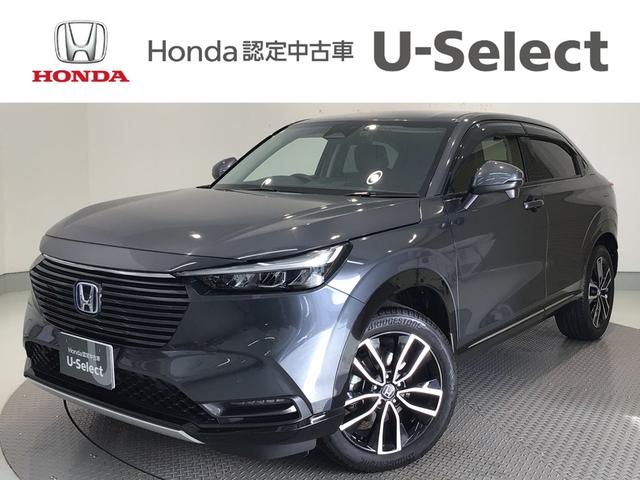 F[(z_) Fgduy@kdcEtZOEirEobNJE`vEz_bnmmdbs Îԉ摜