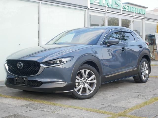 bw|RO(}c_) @[J[IvVir@obNj^[@NAX\i[@dsb@hCuR[_[@kdcwbhCg@I[gnCr[@V[gq[^[@p[LOz[h@I[gGARt Îԉ摜