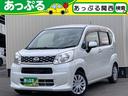 carPhoto