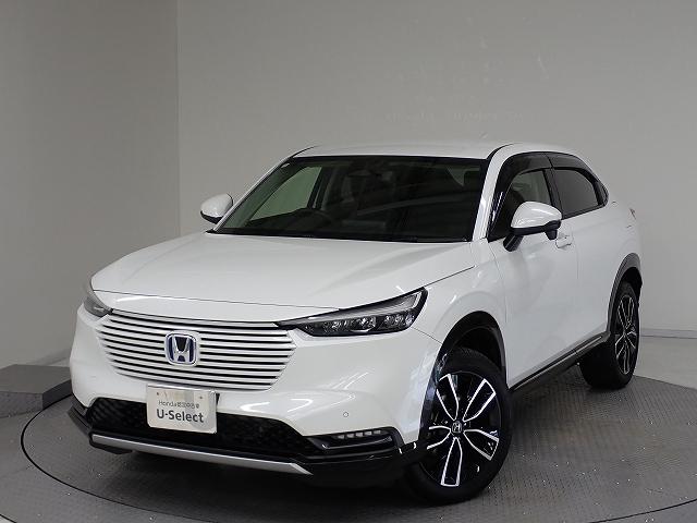 F[(z_) Fgduy Îԉ摜