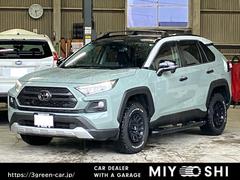 RAV4 アドベンチャー 4WD 社外17インチAW BFグッドリッチオールテレーンタイヤ ホワイトレター ベースキャリア サイドステップ サンルーフ ナビ TV バックモニター ETC2.0 Bluetooth クルコン 中古車画像