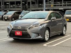 �쥯�������ȣӡ��ȣӣ������衡�ţԣá��㳲ʪ���󥵡����Хå������