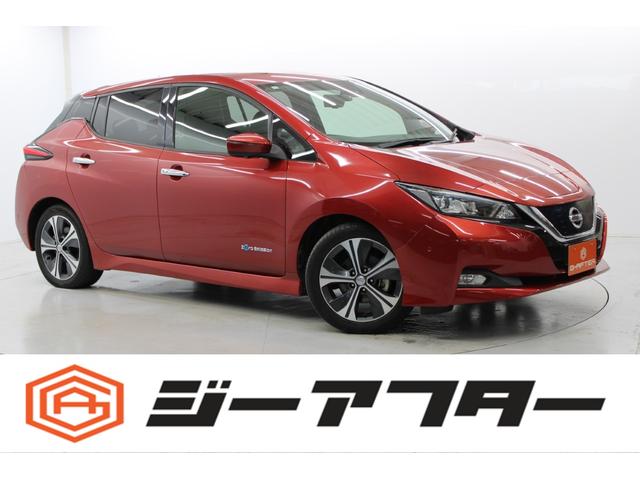 リーフ(日産) Ｇ　純正ナビ／地デジ／３６０度カメラ／寒冷地仕様／エマージェンシーブレーキ／プロパイロット／ＬＥＤ／ 中古車画像