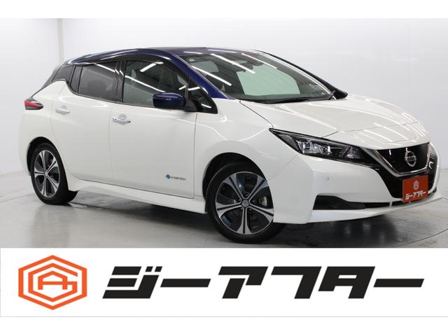 リーフ(日産) Ｘ　禁煙　ツートーンルーフ　純正ナビ　フルセグ　バックカメラ　プロパイロット 中古車画像