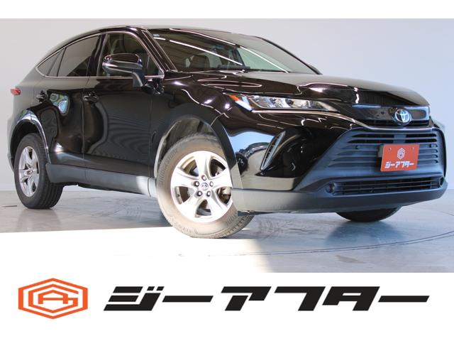 Τͤ⤪ڤˤ䤤碌 ̵ָξξϼָǯʧ۲ʤȤʤޤ 1