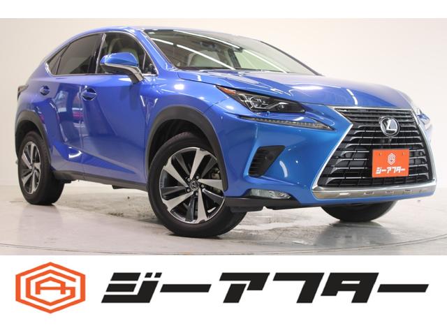 mw(NTX) mwROO@hpbP[W@։ԁ@PODRC`ir@pm~bNr[j^[@tZOsu@uChX|bgj^[@noPWC`A~@p[LOT|[gu[L@p^OkdcwbhCg@dsbQDO Îԉ摜