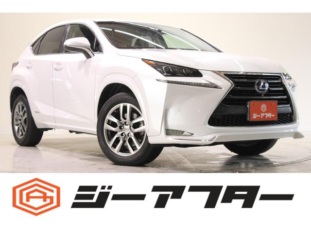 쥯 Σ Σأ衡С̡ر֡ʥ