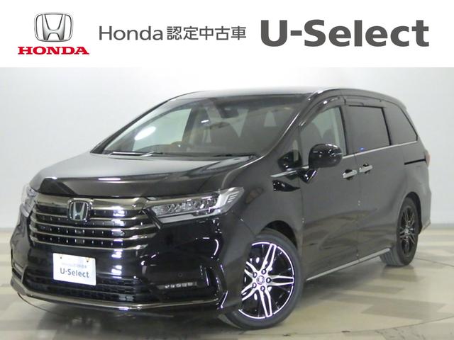 IfbZC(z_) Au\[gEdw@։I[i[@ʃir@[tj^[@L^@V|gq|^|@obNj^[@tgJ@X}|gL|@ZLeB[A[@cucĐ@TChJ@I[gN[YRg[ Îԉ摜