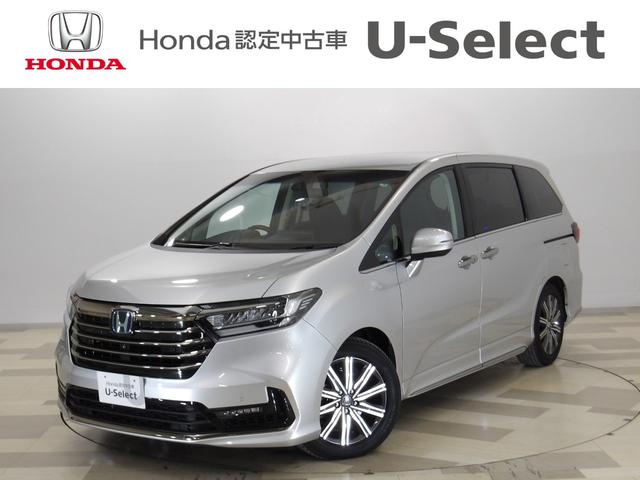 IfbZCnCubh(z_) FgduAu\[g@t|rI[v@։I[i[@z_ZVO@piir@TChJ[eGAobN@Փ˔Qyu[L@kdcwbhv@L^@NAX\i[@dhA@tra Îԉ摜