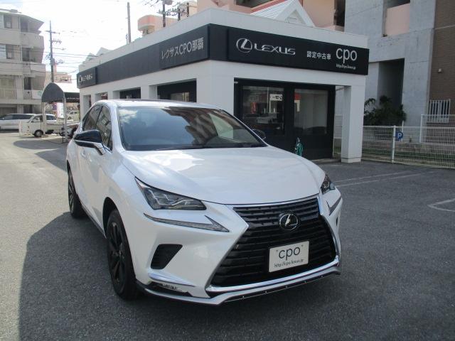 沖縄県の中古車ならＮＸ ＮＸ３００　スパイス＆シック