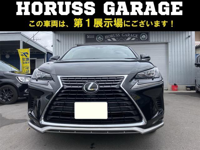 ＮＸ(レクサス) ＮＸ３００　スパイス＆シック　特別車　ＭＴモード　バックカメラ　ステアリングリモコン　アルミホイール 中古車画像