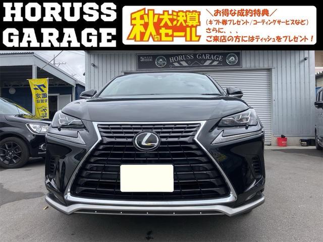 沖縄県の中古車ならＮＸ ＮＸ３００　スパイス＆シック　特別車　ＭＴモード　バックカメラ　ステアリングリモコン　アルミホイール　パワーシート　パワーバックドア　シートエアコン　安全装置　ＥＴＣ