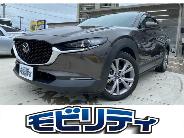 沖縄県の中古車ならＣＸ－３０ ＸＤ　プロアクティブ　メーカーナビ　ＴＶ　ＤＶＤ　Ｂｌｕｅｔｏｏｔｈ　パワーバックドア　ＥＴＣ　バックカメラ