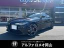 ＷＥＢ問合せキャンペーン実施中！！ ディーラー車・登録済未使用車・認定中古車・レッドレザー・純正アルミ