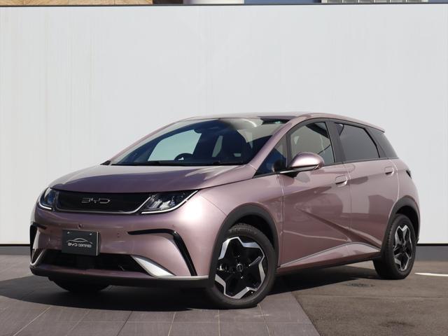 BYD DOLPHIN BASE GRADE