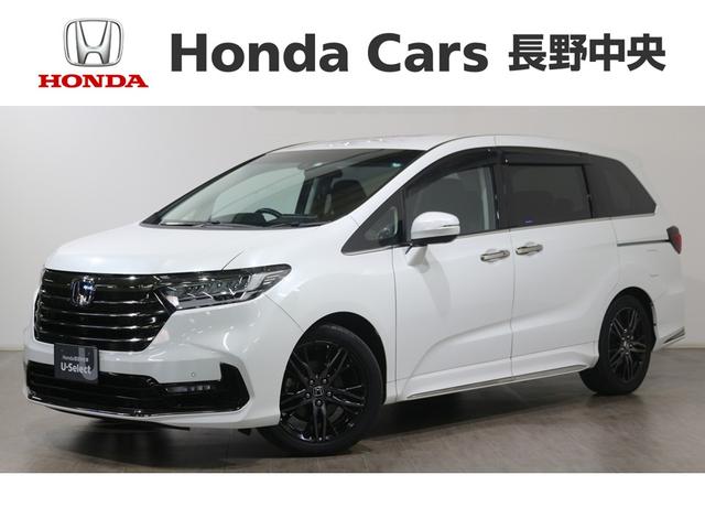 䥨ꥢĹ̿ꥢΤߤȤĺƤޤ 1