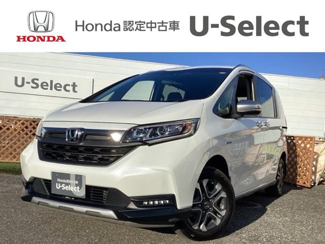 ե꡼ɡܥϥ֥å ϥ֥åɡۥ󥷥󥰡ե륻ʥӡ֥롼ȥ 9030173A30251031W001 1