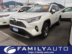 トヨタ　ＲＡＶ４　ハイブリッドＧ　４ＷＤ　ナビ　フルセグＴＶ