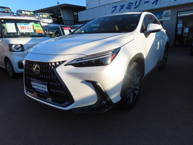 žαϿɥ饤֥쥳դ ưꥢȡߥۥ롡ޡȥɥ󥰥ȥåס 1