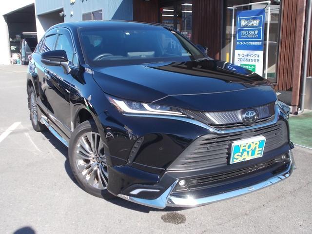 ȥ西ϥꥢˤޤ ףġʥӣԣ֡Хå顡ѥȡưꥢȡ 1