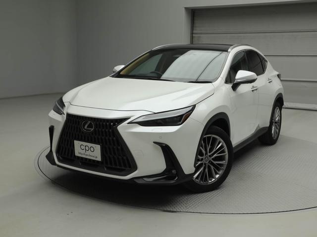 mw(NTX) mwRTO@o[Wk@bon@NTXF蒆Îԁ@pm}[t@[t[@fW^Ci[~[@pm~bNr[j^[^ʑ̌^fBXNvC[@ANZT[RZgi`bPOOuEPTOOvj[d Îԉ摜