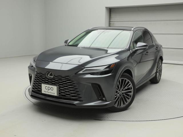 qw(NTX) qwRTO@o[Wk@bon@NTXF蒆Îԁ@pm}[t@[t[@fW^L[@t˃q[^[i^]ȁEȁj@[d Îԉ摜