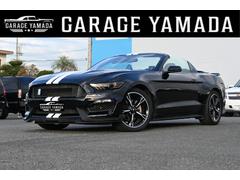 եɡޥ󥰡С֥롡ǯǥ롡Ծ񡡥ȥåƣ