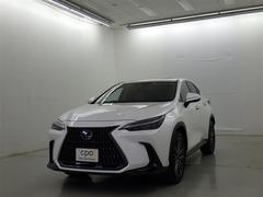 쥯ΣءΣأС̡쥯ǧż֣ãУϡѥΥߥåӥ塼˥