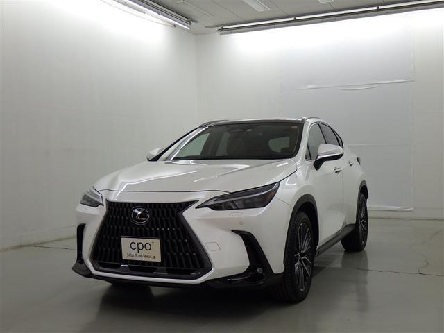 �m�w(���N�T�X) �m�w�Q�T�O�@�o�[�W�����k�@���N�T�X�F�蒆�ÎԂb�o�n�@���[�t���[���@�p�m���~�b�N�r���[���j�^�[�@�p�[�L���O�T�|�[�g�u���[�L�@�f�W�^���C���i�[�~���[�@���������[�d�@�p�m���}���[�t�@�h���C�u���R�[�_�[�i�����^�O��j ���Îԉ摜