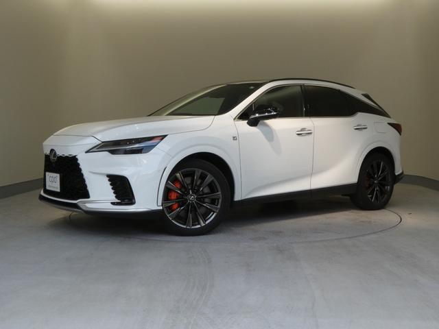 ãУȾģɥץ ѥΥޥ롼ա󥸥ѡʥȥҡ٥졼 1