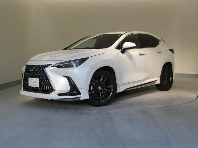 mw(NTX) mwQTO@o[Wk@QNԋۏ؁@pm~bNr[j^[@p[LOT|[gu[L@fW^Ci[~[ Îԉ摜