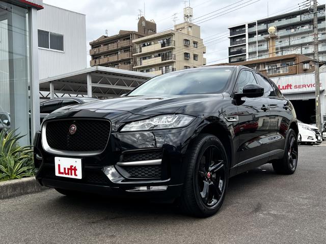 Уӡ󥪡ʡ֥åۥ ȡ쥶ȡץƥ֣̣ţĥإåɥ饤ȡޥۥѥå 1