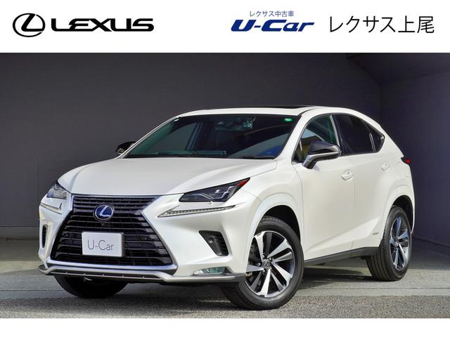 mw(NTX) mwROO@XpCXVbN@NTXt|bibonj@[[t@ʎgpԐpV[g@hCuR[_[@ANZ݊ԈႢh~Փˉxu[L@psest[^[ Îԉ摜