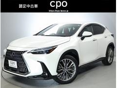 쥯ΣءΣأ衡С̡ܳץȡɥХ󥹥ɥѡ