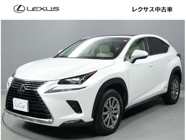 �m�w(���N�T�X) �m�w�R�O�O���@�h�p�b�P�[�W�@�p�m���}���[�t�@�S���̓J�����p�m���~�b�N�r���[���j�^�[�@�u���C���h�X�|�b�g���j�^�[�@�A�N�Z�T���[�R���Z���g�@�n�C�u���b�g ���Îԉ摜