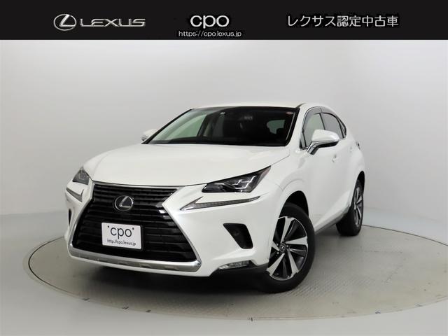 ＮＸ３００ｈ　Ｉパッケージ(1枚目)