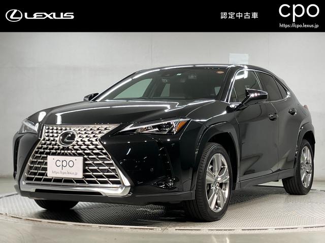 ＵＸ ＵＸ２５０ｈ　グレイスフル　エクスプローラー（1枚目）