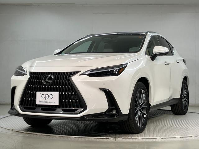 mw(NTX) mwRTO@o[Wk Îԉ摜